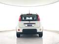 Fiat New Panda Panda 1.2 easypower City Life Gpl s&s 69cv APP CON Blanco - thumbnail 6