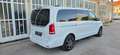 Mercedes-Benz V 250 V 250 d 4MATIC Lang Aut. *7 Sitze*Navi*AHK*Kamera* Weiß - thumbnail 4