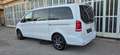 Mercedes-Benz V 250 V 250 d 4MATIC Lang Aut. *7 Sitze*Navi*AHK*Kamera* Weiß - thumbnail 3