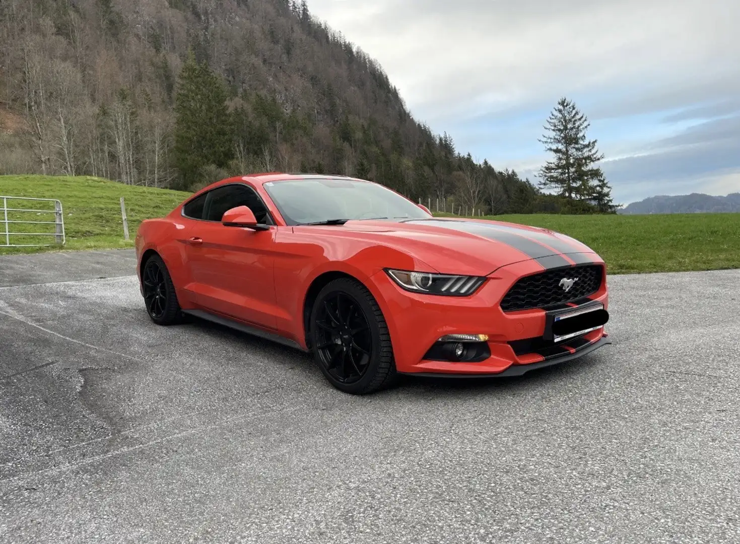 Ford Mustang 2,3 EcoBoost - 1