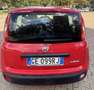 Fiat Panda 1.0 hybrid PREZZO REALE NO FINANZIAMENTO - thumbnail 7