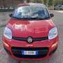 Fiat Panda 1.0 hybrid PREZZO REALE NO FINANZIAMENTO - thumbnail 3