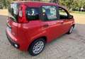 Fiat Panda 1.0 hybrid PREZZO REALE NO FINANZIAMENTO - thumbnail 6