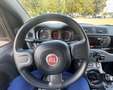 Fiat Panda 1.0 hybrid PREZZO REALE NO FINANZIAMENTO - thumbnail 14