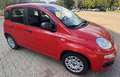Fiat Panda 1.0 hybrid PREZZO REALE NO FINANZIAMENTO - thumbnail 5
