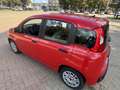 Fiat Panda 1.0 hybrid PREZZO REALE NO FINANZIAMENTO - thumbnail 8