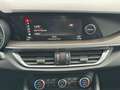 Alfa Romeo Stelvio 2.0 280 ATX Q4 First Edition Grau - thumbnail 14