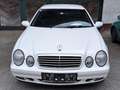 Mercedes-Benz CLK 200 CLK 200 Cabrio Elegance Weiß - thumbnail 1