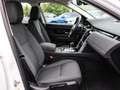 Land Rover Discovery Sport D165 AWD AHK , Sitzheizung Blanc - thumbnail 3