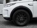 Land Rover Discovery Sport D165 AWD AHK , Sitzheizung Blanc - thumbnail 9