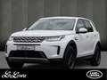 Land Rover Discovery Sport D165 AWD AHK , Sitzheizung Blanc - thumbnail 1