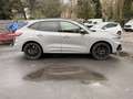Ford Kuga PHEV ST-Line X Gris - thumbnail 2