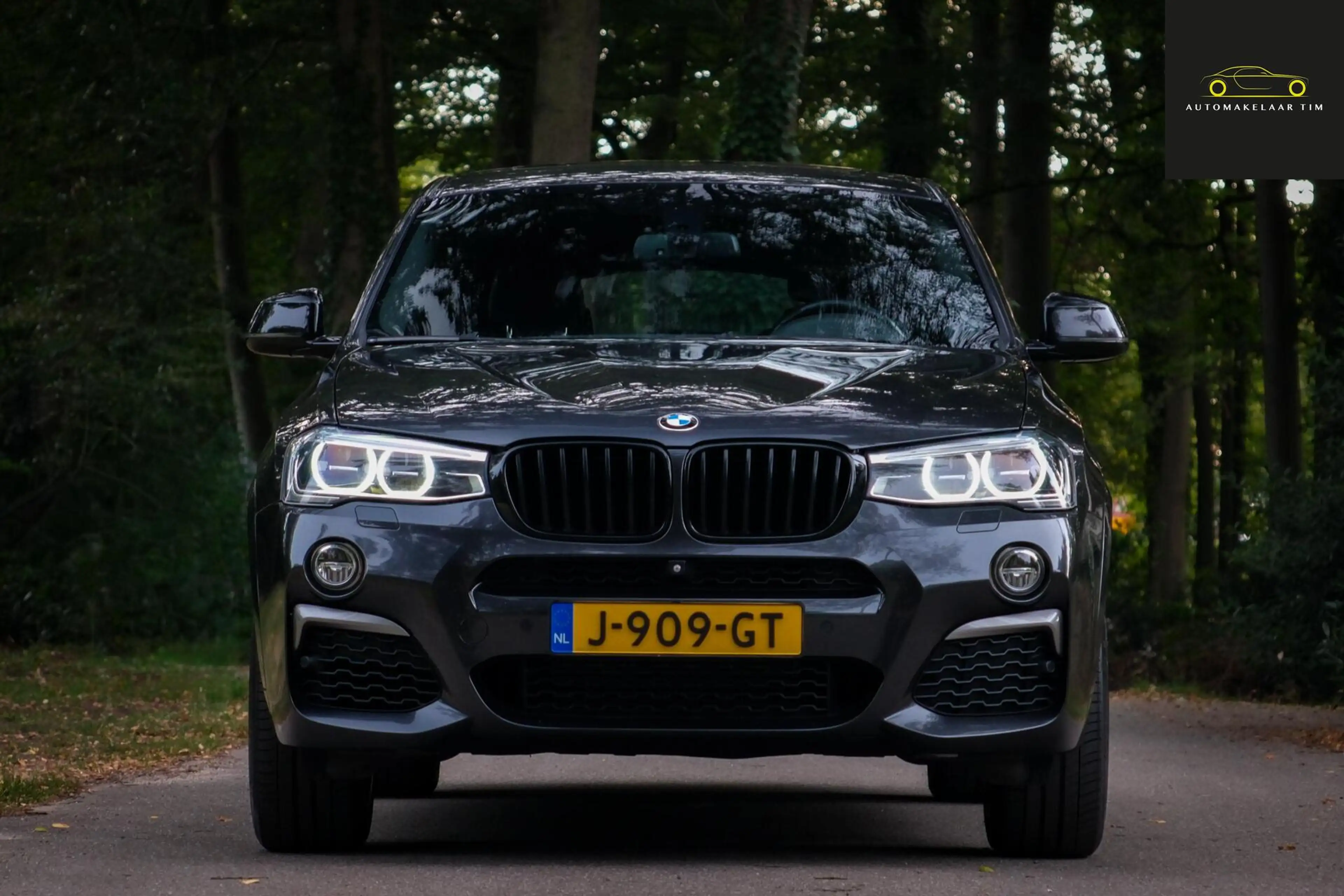 BMW X4 M40i High Executive / Full Options / Pano / Trekha — photo 8
