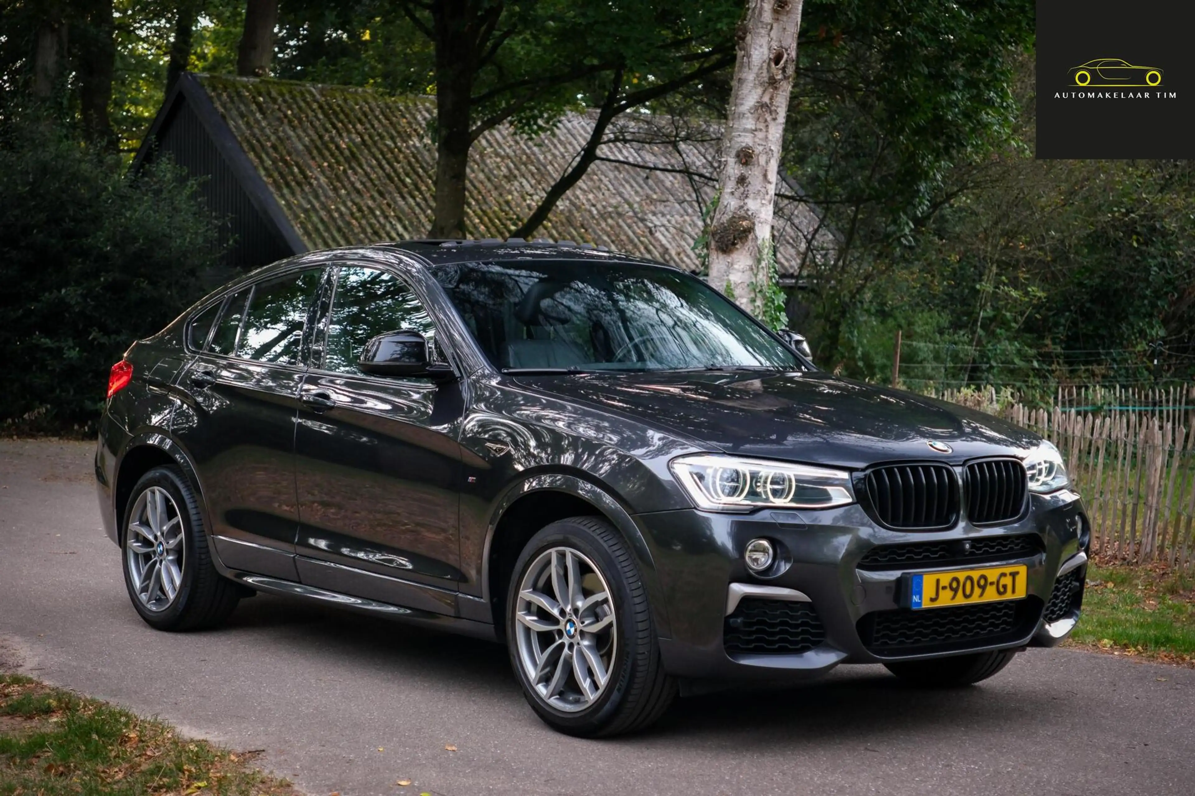 BMW X4 M40i High Executive / Full Options / Pano / Trekha — photo 11