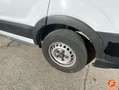 Ford Transit L3 130cv Blanco - thumbnail 15