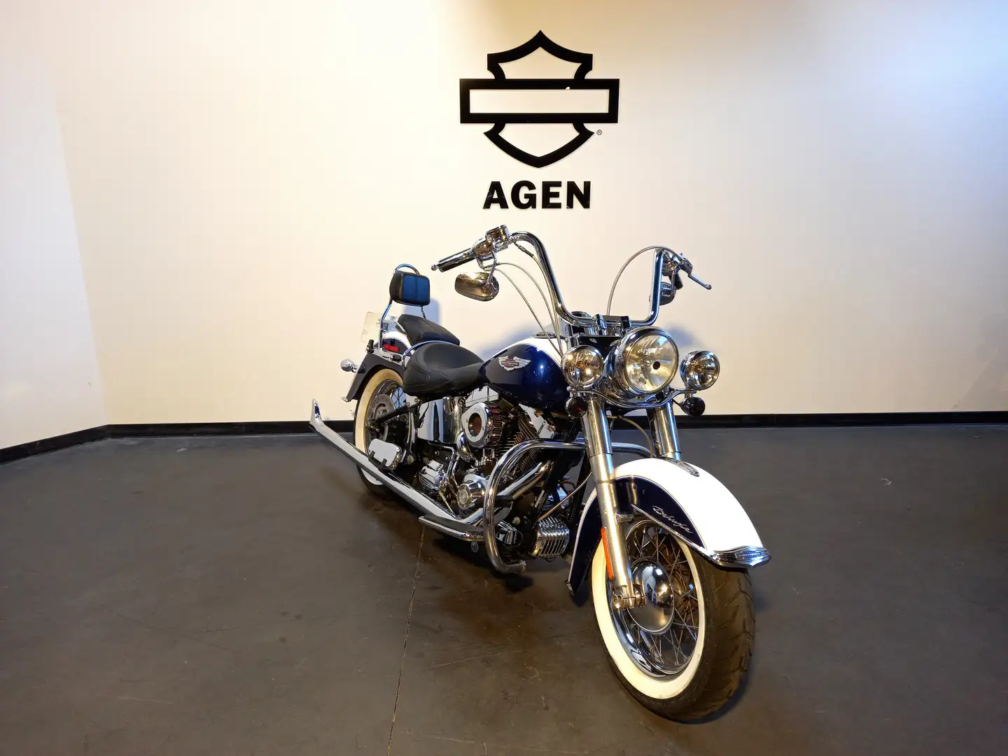 Harley-Davidson Softail - 1