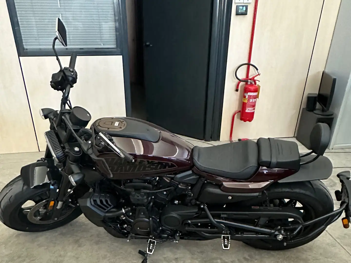 Harley-Davidson Sportster Marrone - 1