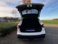Nissan Qashqai 1.3 DIG-T Tekna + TREKHAAK AFN. / 360 CAMERA / ST. Wit - thumbnail 41
