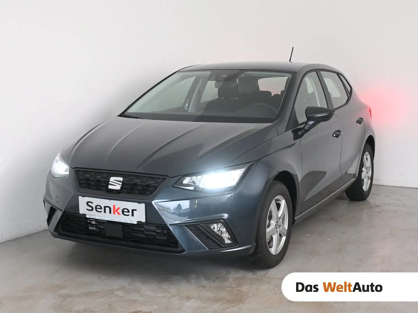 SEAT Ibiza Reference Edition 1.0 Grau - 1