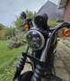 Harley-Davidson XL 883 - thumbnail 5