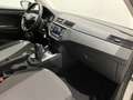SEAT Ibiza 1.0 TGI 5 porte Reference Bianco - thumbnail 8