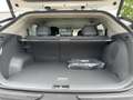 Kia EV3 Earth 81,4 KWH WiCon Upgr. DriveWise 19Zoll Snd Blanc - thumbnail 12
