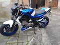 Suzuki Gladius 650 Blau - thumbnail 2