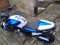 Suzuki Gladius 650 Blau - thumbnail 4