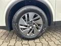 Nissan Qashqai Accenta *Xtronic/SHZG/Navi-App/Kamera/ICC/LED* Blanc - thumbnail 7