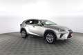 Lexus NX 350h LEXUS NX Hybrid Business Grau - thumbnail 2