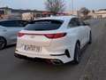 Kia ProCeed / pro_cee'd ProCeed GT 1.6 T-GDI DCT7 Weiß - thumbnail 4