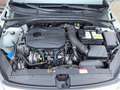 Kia ProCeed / pro_cee'd ProCeed GT 1.6 T-GDI DCT7 Weiß - thumbnail 14