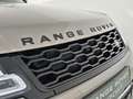 Land Rover Range Rover Sport 3,0 i6 MHEV AWD HSE Dynamic Aut. | Auto Stahl W... - thumbnail 10