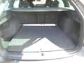 Skoda Octavia 2.0 TSI 195 kW RS Grau - thumbnail 11