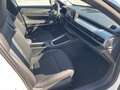 Jeep Avenger 1.2 TURBO 110 CV E-HYBRID MHEV Summit PACK WINTER Blanc - thumbnail 8