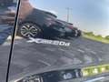 BMW X4 xDrive20d Msport Nero - thumbnail 12