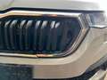 Skoda Kodiaq Tour 2.0 TDI DSG VIRT COCK PANO SH KAMERA Grau - thumbnail 32