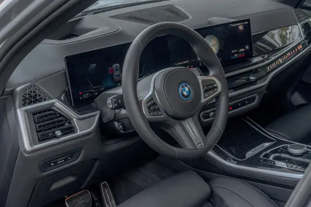 BMW X5 X5 view 12