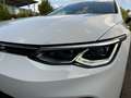 Volkswagen Golf Variant VIII Variant 2.0 TDI DSG LIFE *AHK *LED *TRAVEL * Wit - thumbnail 6