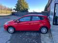 Ford Fiesta 5p 1.4 Gpl 95cv E6 Rot - thumbnail 8
