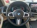 BMW X3 xDrive30d xLine Head-Up HiFi LED WLAN AHK Grau - thumbnail 10