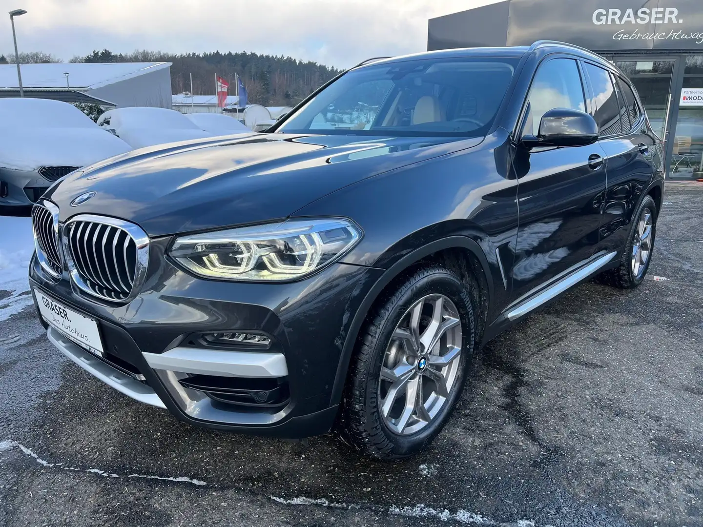 BMW X3 xDrive30d xLine Head-Up HiFi LED WLAN AHK Grau - 1