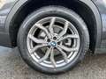 BMW X3 xDrive30d xLine Head-Up HiFi LED WLAN AHK Grau - thumbnail 43