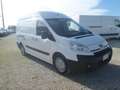 Fiat Scudo furgone maxi tetto alto Bianco - thumbnail 3