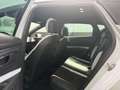 SEAT Leon Cupra 290 /LED/19Zoll/Navi/Kamera/Euro6 Weiß - thumbnail 11