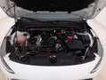 Ford Focus SW Hybrid Business 1.0 Mild Hybrid 125CV Bianco - thumbnail 13