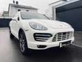 Porsche Cayenne Cayenne Turbo ACC/Pano/Stadh/Totw. Weiß - thumbnail 7