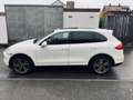 Porsche Cayenne Cayenne Turbo ACC/Pano/Stadh/Totw. Weiß - thumbnail 6