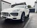 Porsche Cayenne Cayenne Turbo ACC/Pano/Stadh/Totw. Weiß - thumbnail 8