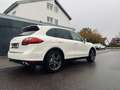 Porsche Cayenne Cayenne Turbo ACC/Pano/Stadh/Totw. Weiß - thumbnail 5